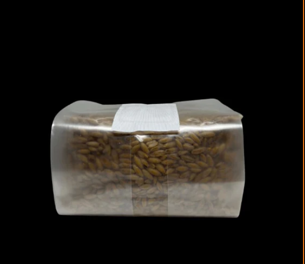 6lb Sterilized Grain Bag W/ Injection port